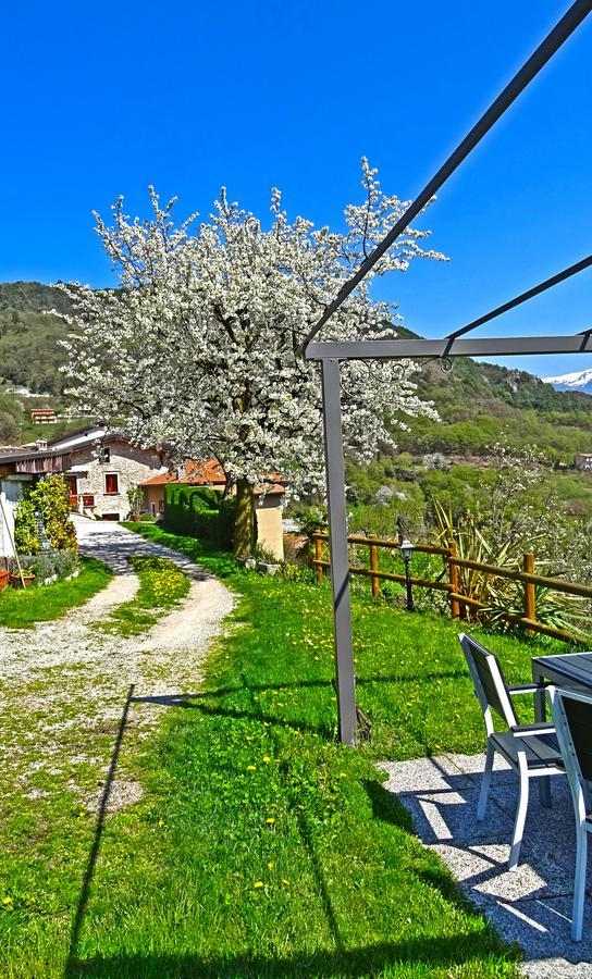 Casa Belvedere Garden By Gardadomusmea Tremosine Exterior foto